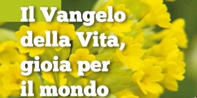 2018_ilvangelo